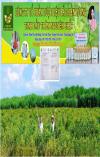 Tinh dầu tràm nguyên chất Bắc Hiền Lương